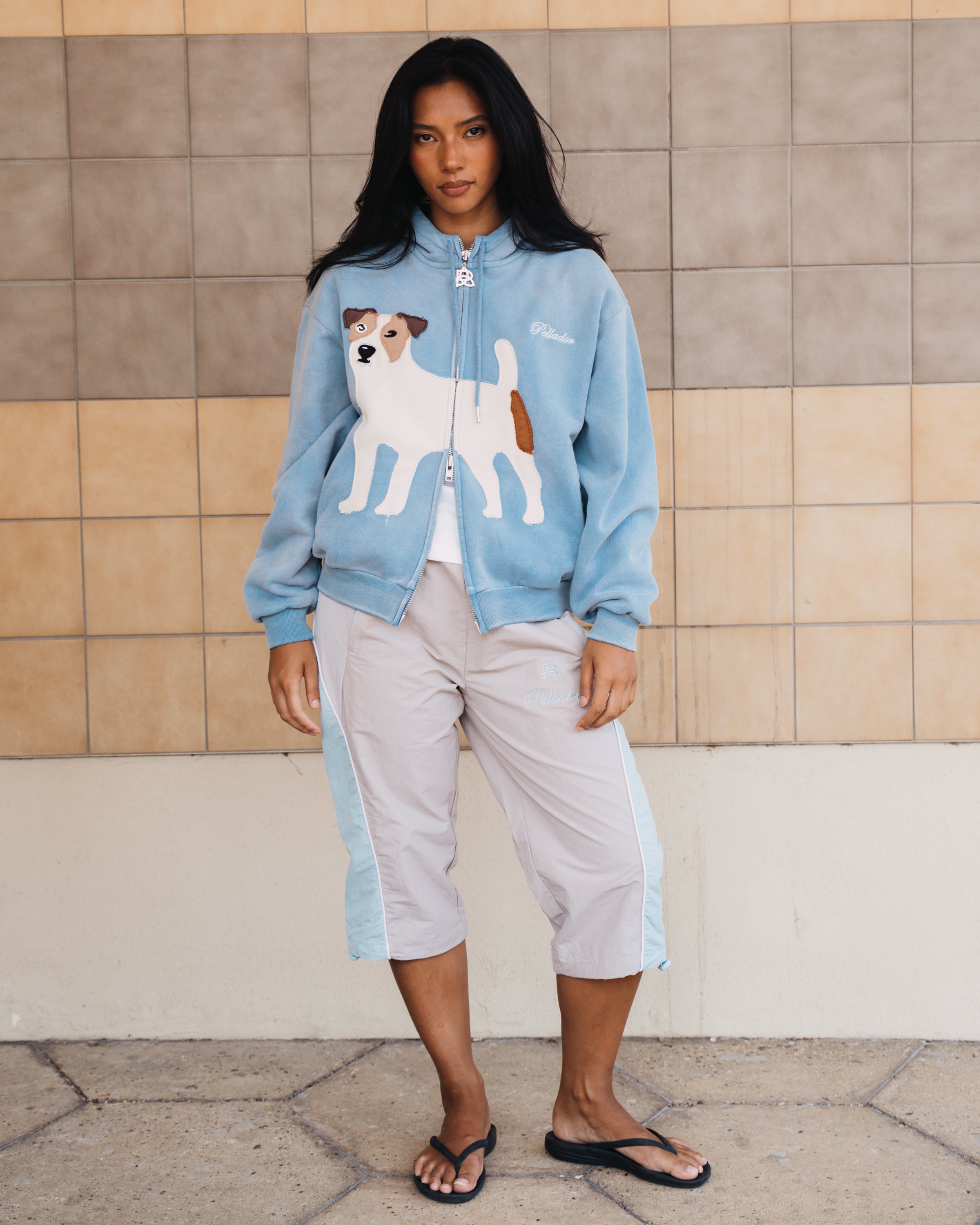 Dog Appliqué Zip Hoodie - Blue