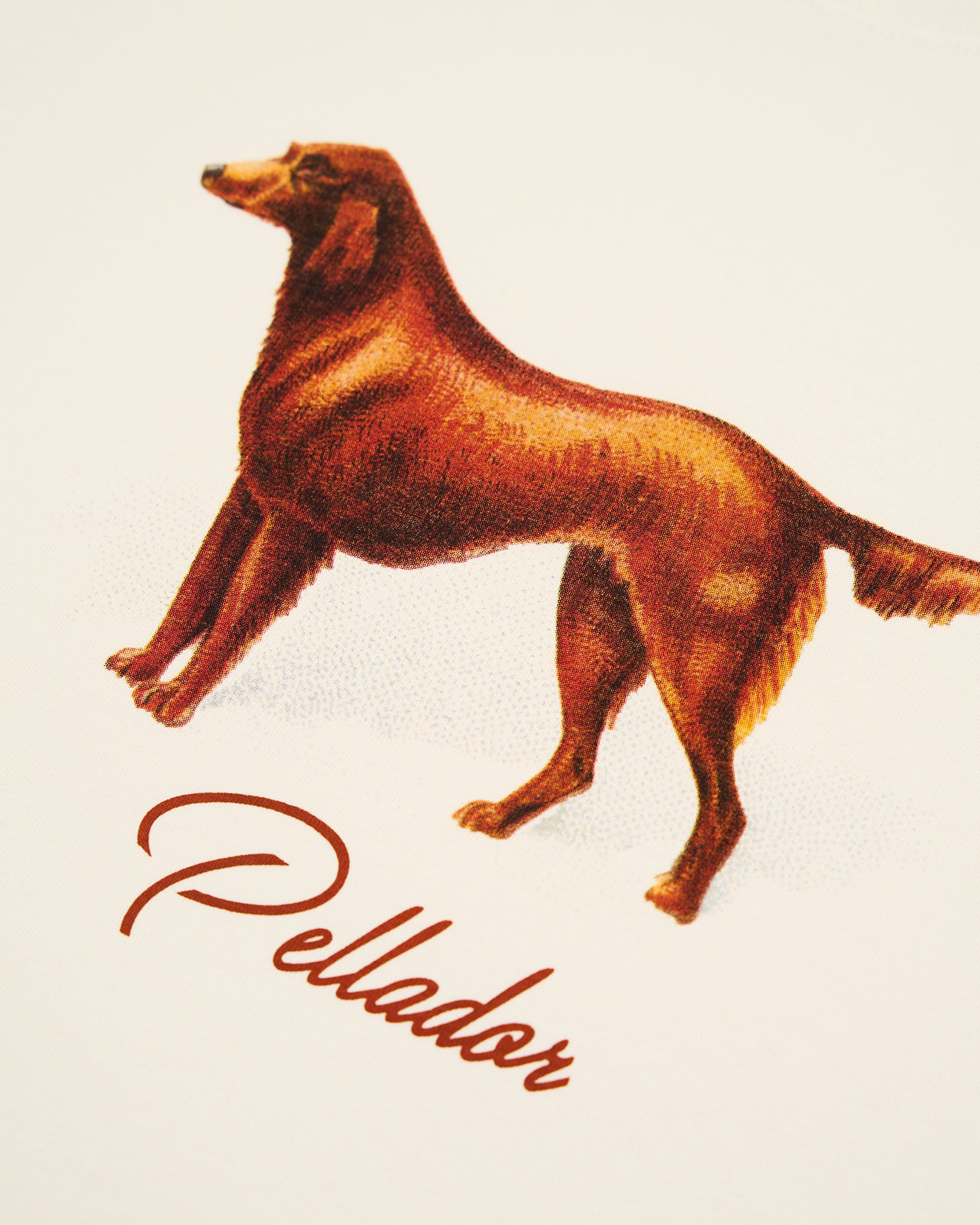 Irish Red Setter Tee